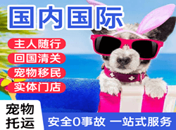 海浪航空货运国际宠物托运 【国